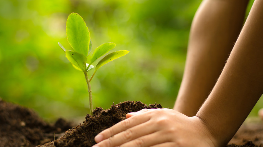 見える、育つ、繋がる IoTで可視化する循環型農業